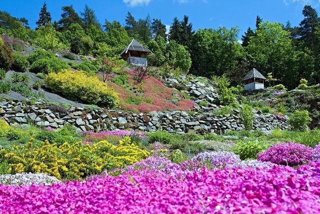 Zájezd Arboretum Paseka Makču pikču +  Muzeum Olomouckých tvarůžků Loštice 