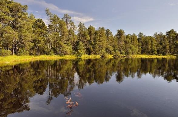 Rejvíz – Mechové jezírko - horské lázně Karlova Studánka