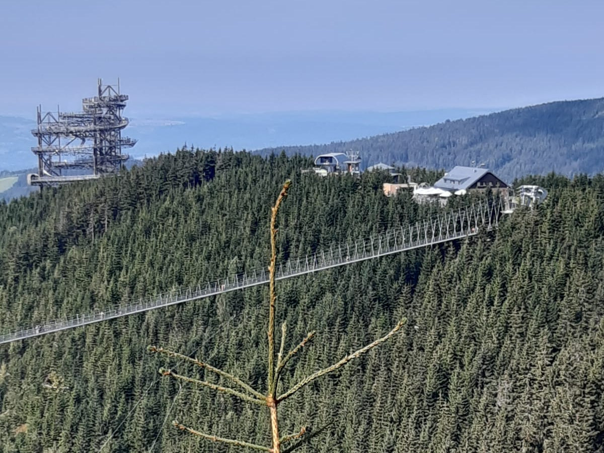 Sky Bridge 721 
