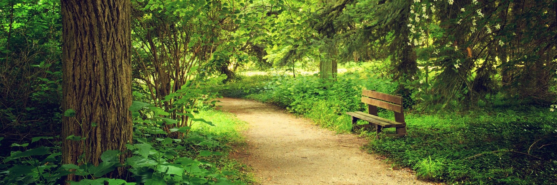 Park